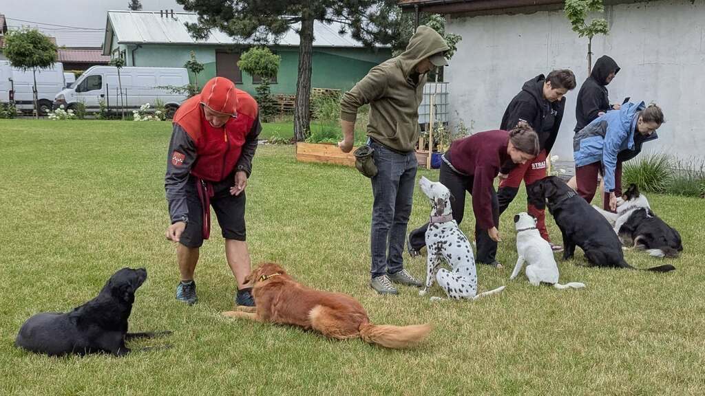 Psy ratownicze Ochotniczej Straży Pożarnej w Wieprzu podczas wizyty w WTZ Promyczek